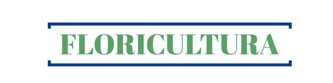 Blog Floricultura